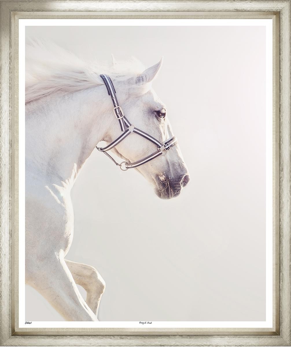 Quadro e moldura Graceful Steed 624L/ 108x127 cm imagem